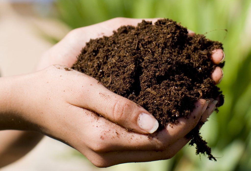 Stock image of two hands holding compost