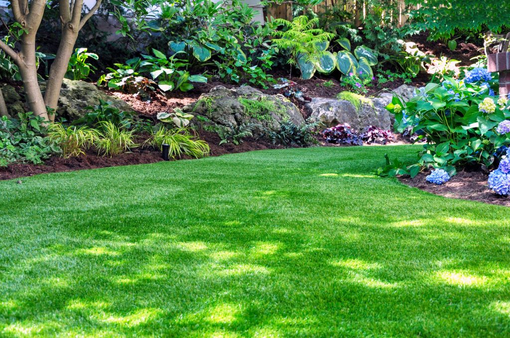 Image of a shaded green lawn with shaded borders.