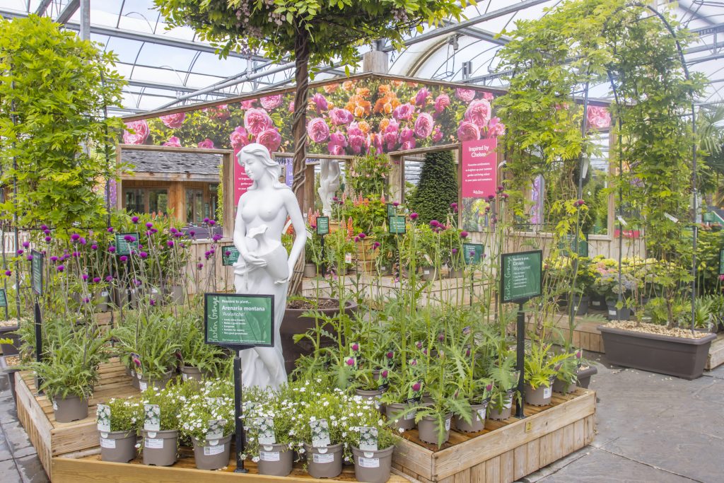 Display of plants inspired by Chelsea Flower Show