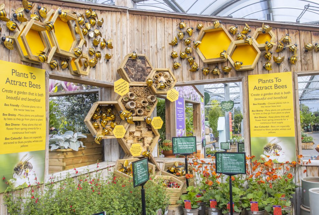 The bee room st Barton Grange includes plants for bees