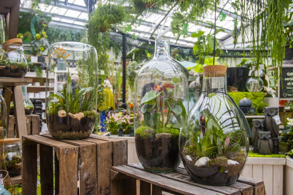 Display of 3 planted up terrariums