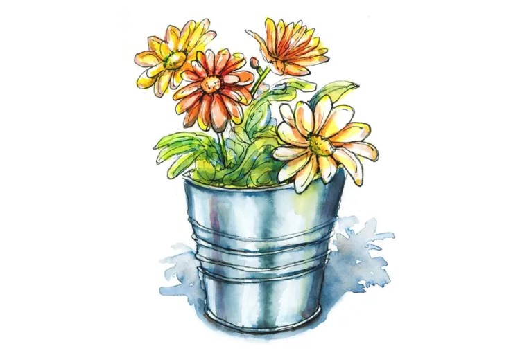 A watercolour and pen painting of orange and yellow flowers in a pot