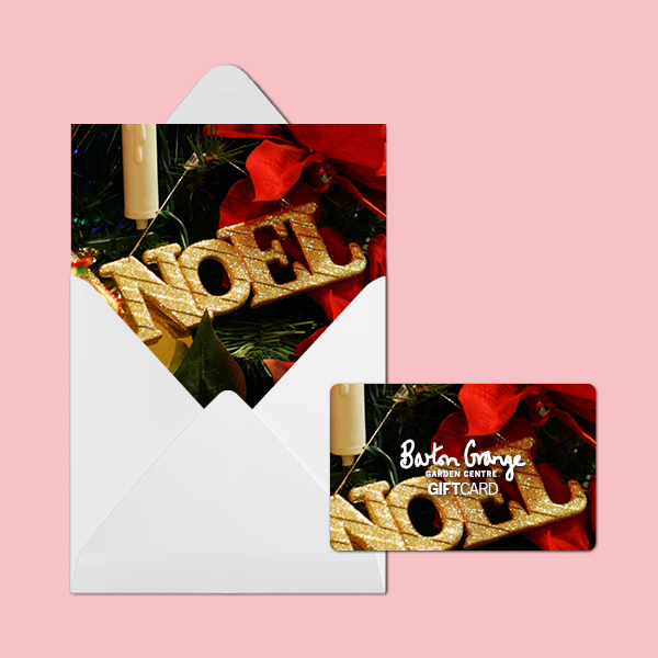 Noel 2