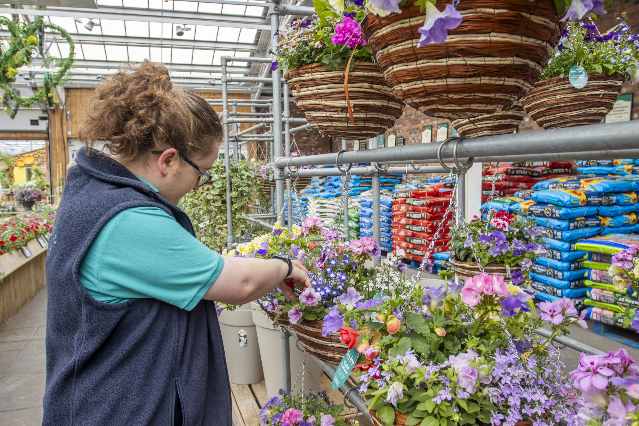 dedheading hanging baskets (3)
