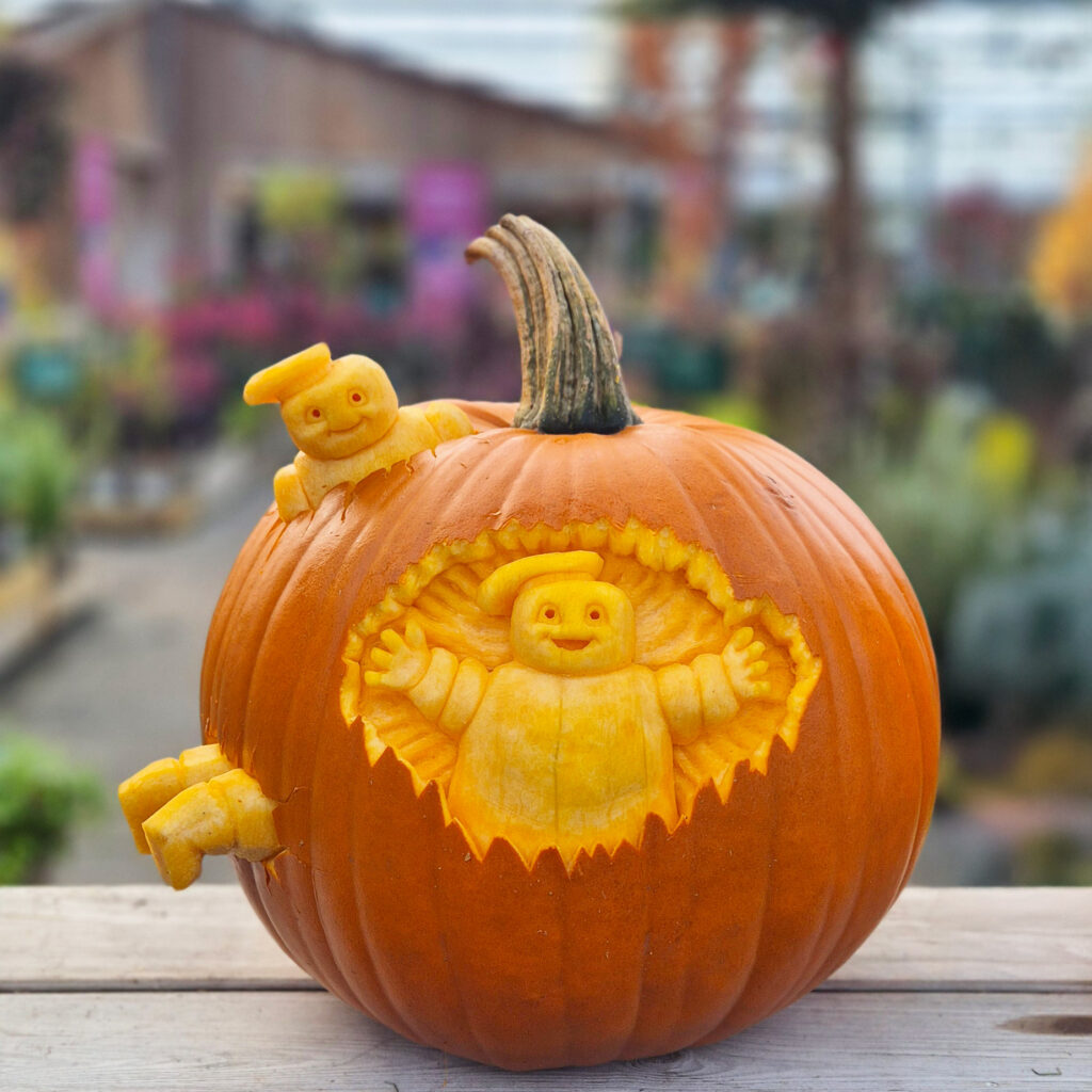 Pumpkin 3