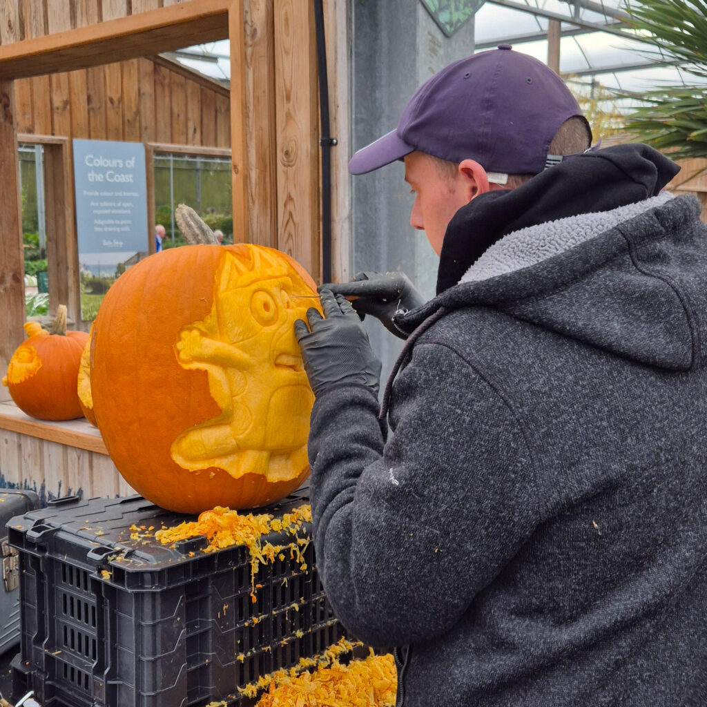 pumpkin carving