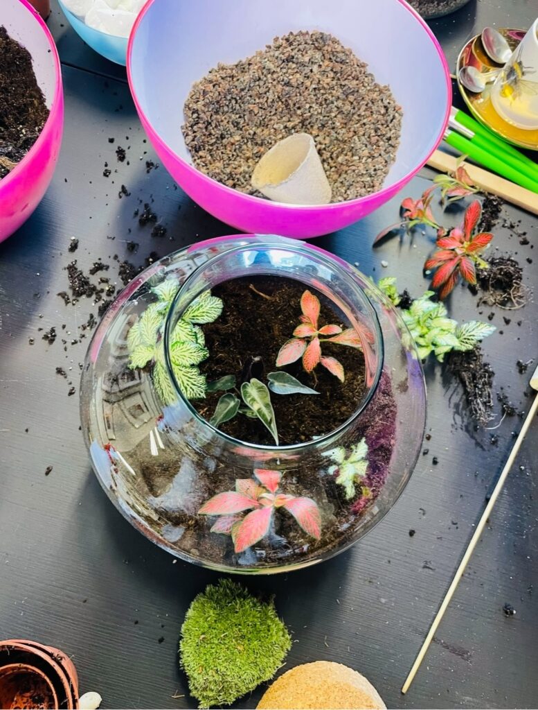 Terrarium Workshop 2