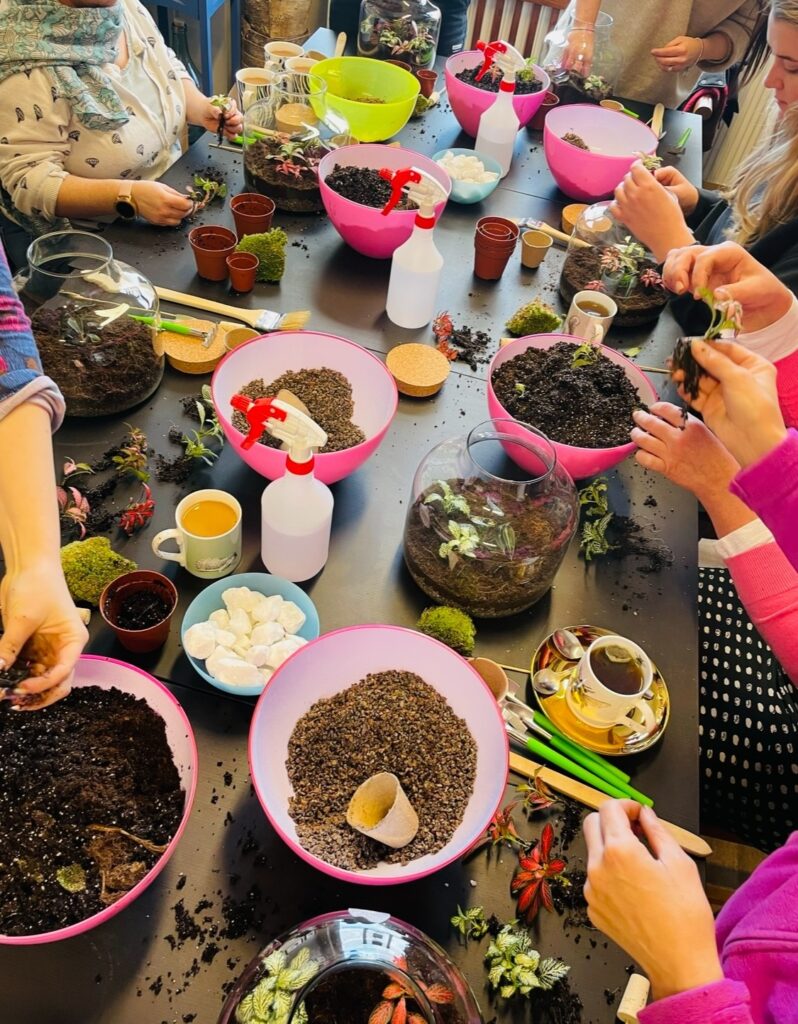 Terrarium Workshop 3